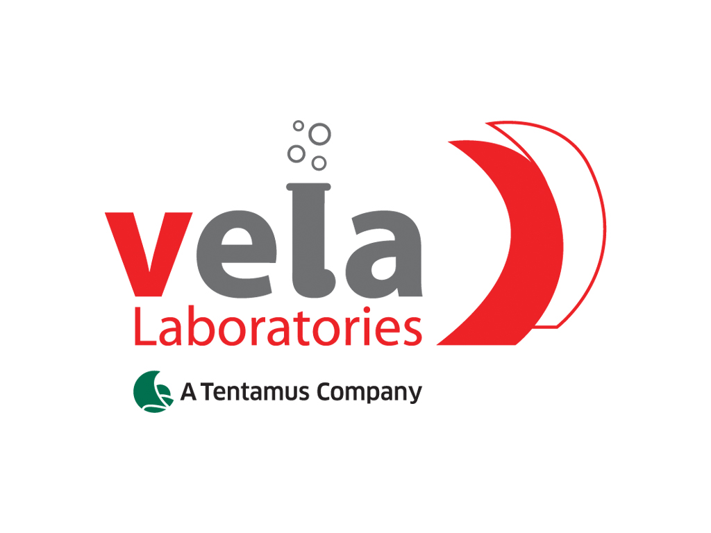 logo 1 VelaLab